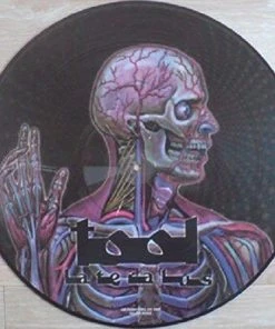 Les meilleures critiques de 🧨 Lateralus - Picture Disc (2 LPs) Von Tool ❤️