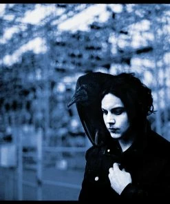 Top 10 ✔️ Jack White (White Stripes/Dead Weather/Raconteurs) Blunderbuss (LP + Digital Copy) Von Jack White (White Stripes/Dead Weather/Raconteurs) 🤩