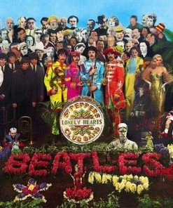 Top 10 🤩 Sgt. Pepper's Lonely Hearts Club Band (Remastered, LP) Von The Beatles 🛒