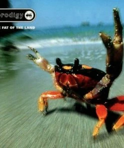 Meilleure affaire 🎁 Fat Of The Land (2 LPs) Von The Prodigy 😉