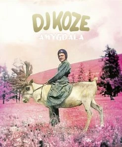 Budget 👏 Amygdala - + 7 Inch (LP + Digital Copy) Von DJ Koze 👏
