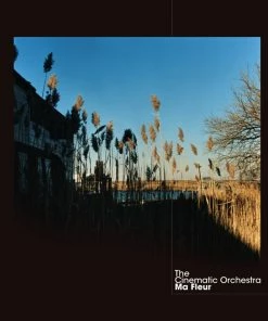 Bon marché 🌟 Ma Fleur - Limited Deluxe Edition, New Version (2 LPs) Von The Cinematic Orchestra 👏