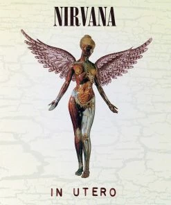 Tout neuf 🔔 In Utero - 20th Anniversary (3 LPs) Von Nirvana 🥰