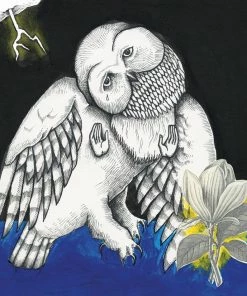 Vente flash 👍 Songs: Ohia Magnolia Electric Company (Deluxe Edition, 2 LPs + Digital Copy) Von Songs: Ohia 😍