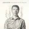 Budget 😉 Beast In Its Tracks (CD + LP) Von Josh Ritter 🥰